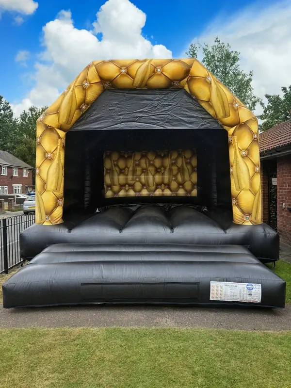 The Giant Inflatable Slide ready for action at an outdoor event.
